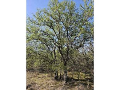 Wonderful hill country lot within minutes of Lake LBJ and on Packsaddle Country Club in Texas - for sale on GolfHomes.com, golf home, golf lot