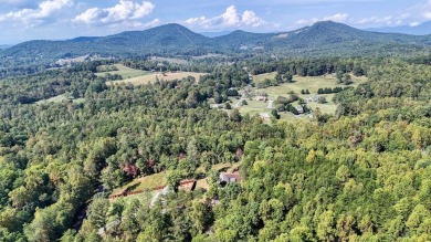 Discover this beautifully constructed 2024 home, featuring all on Brasstown Valley Resort and Spa in Georgia - for sale on GolfHomes.com, golf home, golf lot