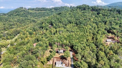 Discover this beautifully constructed 2024 home, featuring all on Brasstown Valley Resort and Spa in Georgia - for sale on GolfHomes.com, golf home, golf lot