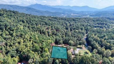 Discover this beautifully constructed 2024 home, featuring all on Brasstown Valley Resort and Spa in Georgia - for sale on GolfHomes.com, golf home, golf lot