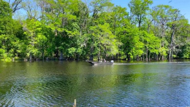 Loris Area... Low Country Living at it's Finest... Well on Woodland Valley Country Club in South Carolina - for sale on GolfHomes.com, golf home, golf lot