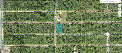 This 0.55-acre vacant residential lot at 224 Camellia Drive on Indian Lake Estates Golf and Country Club in Florida - for sale on GolfHomes.com, golf home, golf lot