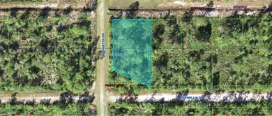 This 0.55-acre vacant residential lot at 224 Camellia Drive on Indian Lake Estates Golf and Country Club in Florida - for sale on GolfHomes.com, golf home, golf lot