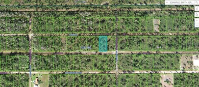 This 0.50-acre vacant residential lot at 203 Ixora Drive on Indian Lake Estates Golf and Country Club in Florida - for sale on GolfHomes.com, golf home, golf lot