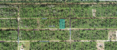 This 0.50-acre vacant residential lot at 203 Ixora Drive on Indian Lake Estates Golf and Country Club in Florida - for sale on GolfHomes.com, golf home, golf lot