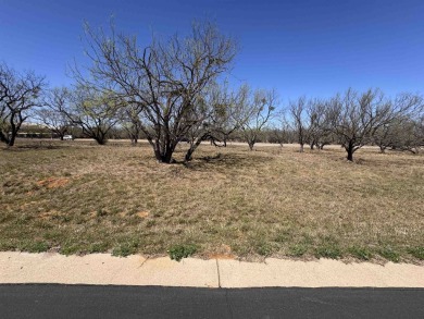 Located near the prestigious Slick Rock Golf Course, this on Slick Rock Golf Course - Horseshoe Bay in Texas - for sale on GolfHomes.com, golf home, golf lot