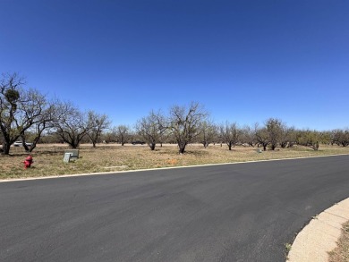 Located near the prestigious Slick Rock Golf Course, this on Slick Rock Golf Course - Horseshoe Bay in Texas - for sale on GolfHomes.com, golf home, golf lot