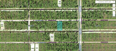 This 0.50-acre vacant residential lot at 809 Portulaca Drive on Indian Lake Estates Golf and Country Club in Florida - for sale on GolfHomes.com, golf home, golf lot