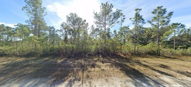 This 0.50-acre vacant residential lot at 809 Portulaca Drive on Indian Lake Estates Golf and Country Club in Florida - for sale on GolfHomes.com, golf home, golf lot