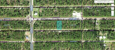 This 0.50-acre vacant residential lot at 711 Japonica Avenue on Indian Lake Estates Golf and Country Club in Florida - for sale on GolfHomes.com, golf home, golf lot
