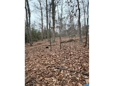 A rare opportunity in Lake Monticello's sought-after Acres on Lake Monticello Golf Course in Virginia - for sale on GolfHomes.com, golf home, golf lot