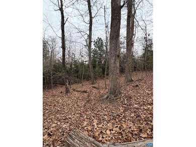 A rare opportunity in Lake Monticello?s sought-after Acres on Lake Monticello Golf Course in Virginia - for sale on GolfHomes.com, golf home, golf lot