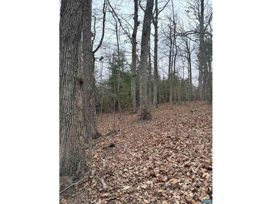 A rare opportunity in Lake Monticello?s sought-after Acres on Lake Monticello Golf Course in Virginia - for sale on GolfHomes.com, golf home, golf lot