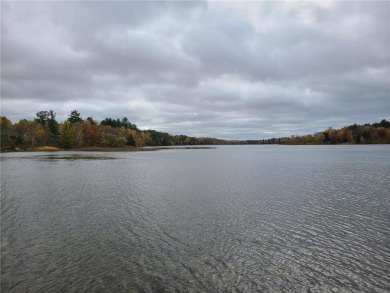 This heavily wooded 3 acre level lake lot has 552 feet of on Tianna Country Club in Minnesota - for sale on GolfHomes.com, golf home, golf lot