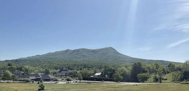 New luxury townhome built by Simensen Construction in Crossroads on Lakeview Golf Course in Virginia - for sale on GolfHomes.com, golf home, golf lot