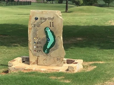 Do you enjoy golf? Then this is the lot for you. #11 T-Box is on White Bluff Resort - New Course in Texas - for sale on GolfHomes.com, golf home, golf lot