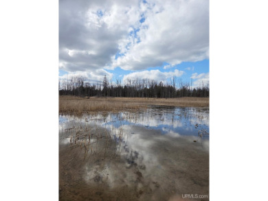 Make this undeveloped 5.65 wooded acres with 444' of water on Nahma Club in Michigan - for sale on GolfHomes.com, golf home, golf lot
