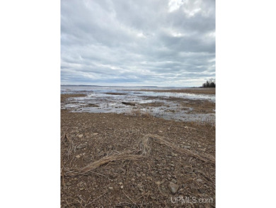 Make this undeveloped 5.65 wooded acres with 444' of water on Nahma Club in Michigan - for sale on GolfHomes.com, golf home, golf lot