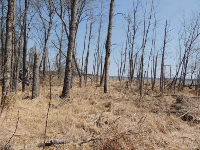 Make this undeveloped 5.65 wooded acres with 444' of water on Nahma Club in Michigan - for sale on GolfHomes.com, golf home, golf lot