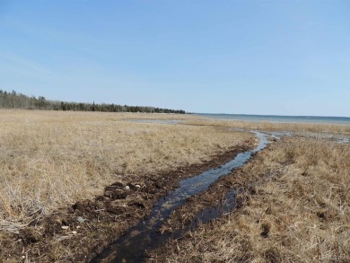Make this undeveloped 5.65 wooded acres with 444' of water on Nahma Club in Michigan - for sale on GolfHomes.com, golf home, golf lot