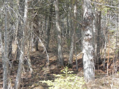 Make this undeveloped 5.65 wooded acres with 444' of water on Nahma Club in Michigan - for sale on GolfHomes.com, golf home, golf lot