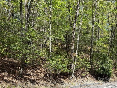 Excellent lot for your next build project. This lot is ideal for on Connestee Falls Golf Club in North Carolina - for sale on GolfHomes.com, golf home, golf lot