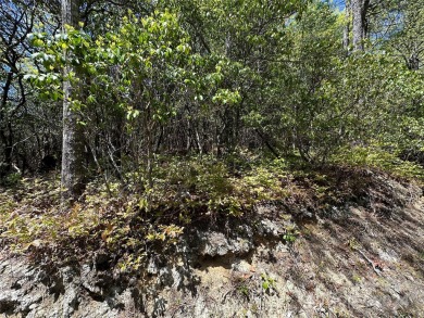 Excellent lot for your next build project. This lot is ideal for on Connestee Falls Golf Club in North Carolina - for sale on GolfHomes.com, golf home, golf lot