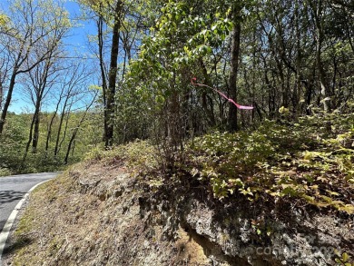 Excellent lot for your next build project. This lot is ideal for on Connestee Falls Golf Club in North Carolina - for sale on GolfHomes.com, golf home, golf lot