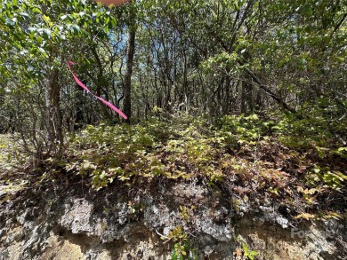 Excellent lot for your next build project. This lot is ideal for on Connestee Falls Golf Club in North Carolina - for sale on GolfHomes.com, golf home, golf lot