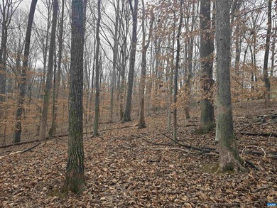 Rare opportunity to own 3.73 acres fronting on the golf course on Lake Monticello Golf Course in Virginia - for sale on GolfHomes.com, golf home, golf lot