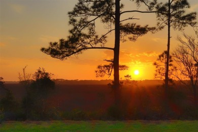 Amazing sunsets, beautiful views and privacy in this brand new on Golf Club At North Hampton in Florida - for sale on GolfHomes.com, golf home, golf lot