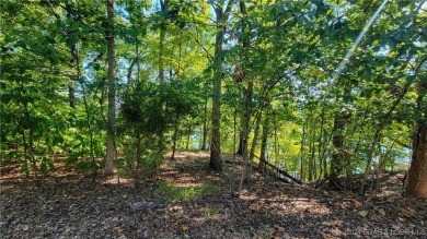 ONE OF THE *BETTER* VIEWS OF THE LAKE.......GREAT LOT on The Club At Porto Cima in Missouri - for sale on GolfHomes.com, golf home, golf lot