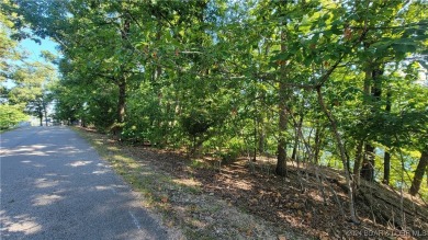 ONE OF THE *BETTER* VIEWS OF THE LAKE.......GREAT LOT on The Club At Porto Cima in Missouri - for sale on GolfHomes.com, golf home, golf lot