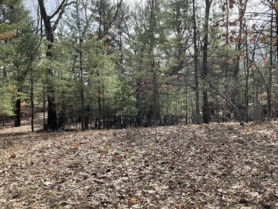 Wooded, buildable lot situated in a prime location elevated on Sand Valley Golf Course in Wisconsin - for sale on GolfHomes.com, golf home, golf lot