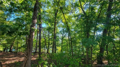 FANTASTIC VIEW OF *THE LAKE* .......PREMIUM LOT.......COVE on The Club At Porto Cima in Missouri - for sale on GolfHomes.com, golf home, golf lot