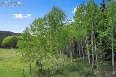 Welcome to Sourdough Ranch - A Rare Colorado Legacy Property
 on Shining Mountain Golf Club in Colorado - for sale on GolfHomes.com, golf home, golf lot