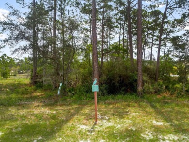 Located within the esteemed Wild Heron neighborhood, a new on Sharks Tooth Golf Club in Florida - for sale on GolfHomes.com, golf home, golf lot