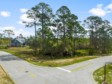 Located within the esteemed Wild Heron neighborhood, a new on Sharks Tooth Golf Club in Florida - for sale on GolfHomes.com, golf home, golf lot