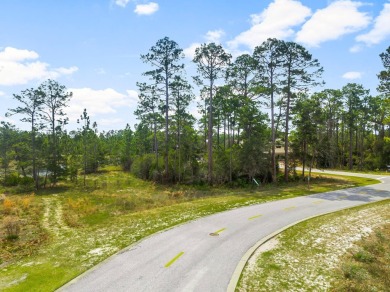 Located within the esteemed Wild Heron neighborhood, a new on Sharks Tooth Golf Club in Florida - for sale on GolfHomes.com, golf home, golf lot