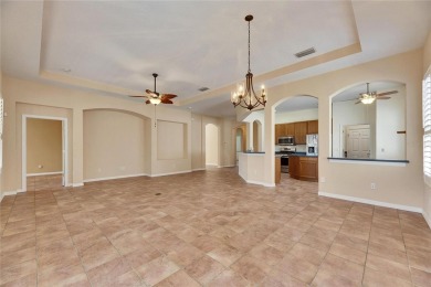 Welcome to Your Ideal Home in Sun City Center

Nestled in the on The Club Renaissance in Florida - for sale on GolfHomes.com, golf home, golf lot