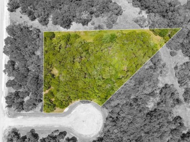 Gated resort community with Lake Whitney access! Come spend the on White Bluff Resort - New Course in Texas - for sale on GolfHomes.com, golf home, golf lot