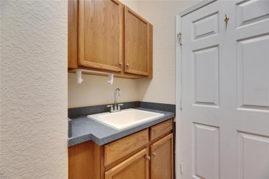 Welcome to Your Ideal Home in Sun City Center

Nestled in the on The Club Renaissance in Florida - for sale on GolfHomes.com, golf home, golf lot