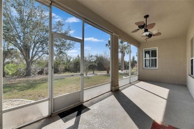 Welcome to Your Ideal Home in Sun City Center

Nestled in the on The Club Renaissance in Florida - for sale on GolfHomes.com, golf home, golf lot