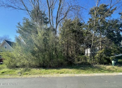 TO BE BUILT: One of the last almost flat lots in Tellico on Toqua Golf Course - Loudon County in Tennessee - for sale on GolfHomes.com, golf home, golf lot