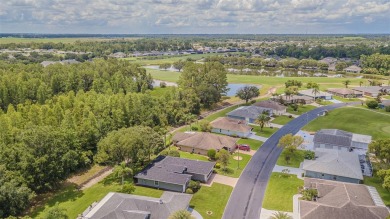 Perfect 1,430 square foot home on a gorgeous conservation lot in on Tampa Bay Golf and Country Club in Florida - for sale on GolfHomes.com, golf home, golf lot