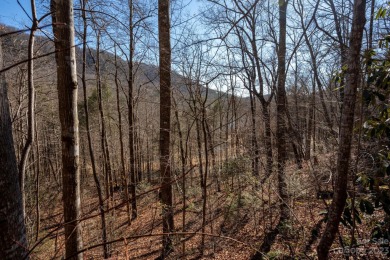 Come see this pretty, sloping lot with distant lake views on Rumbling Bald Resort on Lake Lure in North Carolina - for sale on GolfHomes.com, golf home, golf lot