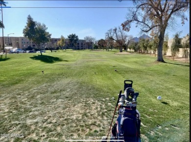 **BERNIE, STOP THE CAR! THIS CONDO IS MOVE-IN READY--JUST BRING on Scottsdale Shadows in Arizona - for sale on GolfHomes.com, golf home, golf lot