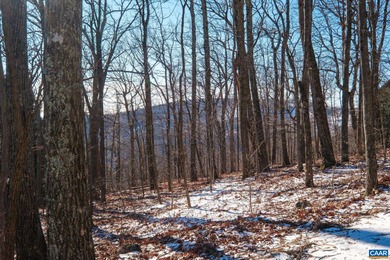 This gorgeous .40 acre lot has the potential for stunning year on Devils Knob in Virginia - for sale on GolfHomes.com, golf home, golf lot