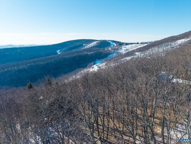 This gorgeous .40 acre lot has the potential for stunning year on Devils Knob in Virginia - for sale on GolfHomes.com, golf home, golf lot