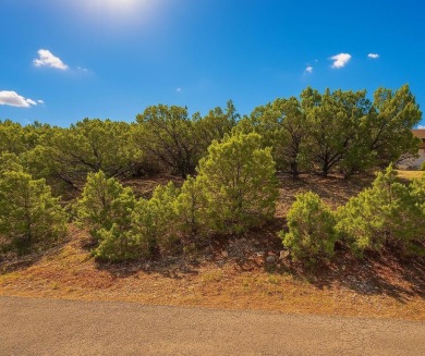 Build Your Forever Home in the Heart of Texas Hill Country on Lago Vista Golf Club in Texas - for sale on GolfHomes.com, golf home, golf lot